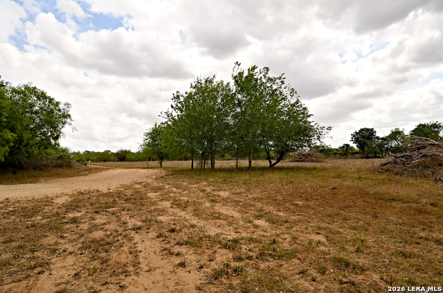 Image 17 of 24 For 101 Alfredo  