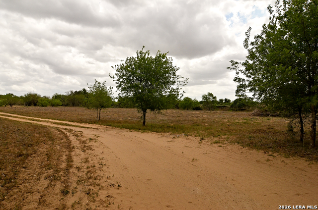 Image 18 of 24 For 101 Alfredo  