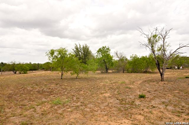 Image 19 of 24 For 101 Alfredo  