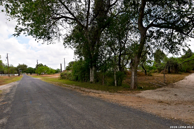 Image 2 of 24 For 101 Alfredo  