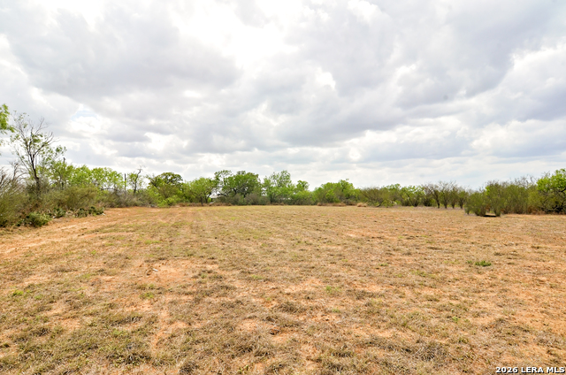 Image 20 of 24 For 101 Alfredo  