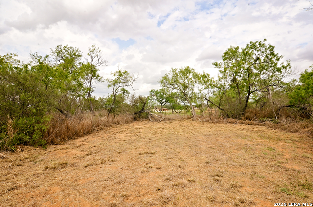 Image 21 of 24 For 101 Alfredo  