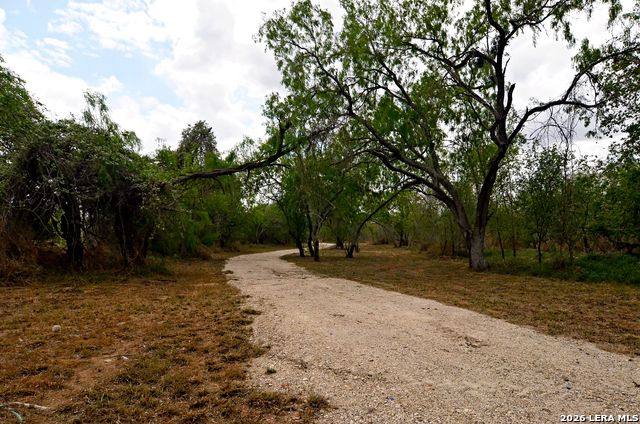 Image 3 of 24 For 101 Alfredo  