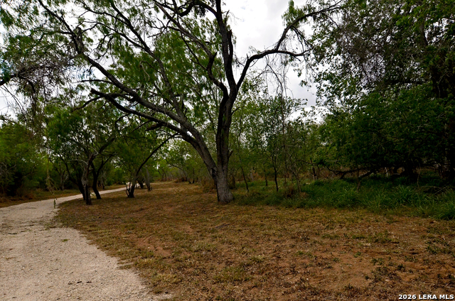 Image 4 of 24 For 101 Alfredo  