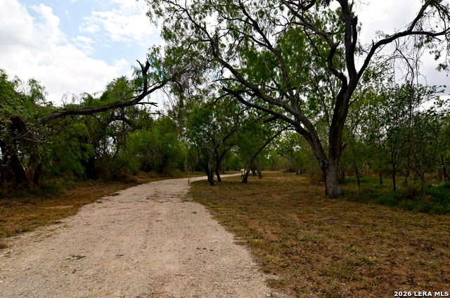 Image 5 of 24 For 101 Alfredo  