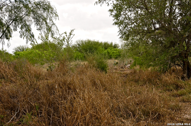 Image 6 of 24 For 101 Alfredo  