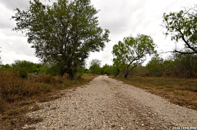 Image 7 of 24 For 101 Alfredo  