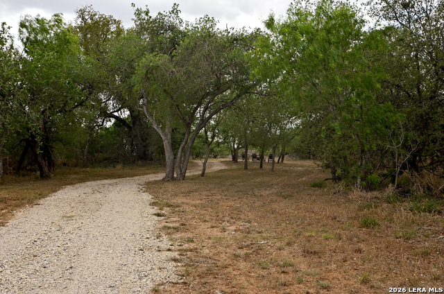 Image 8 of 24 For 101 Alfredo  