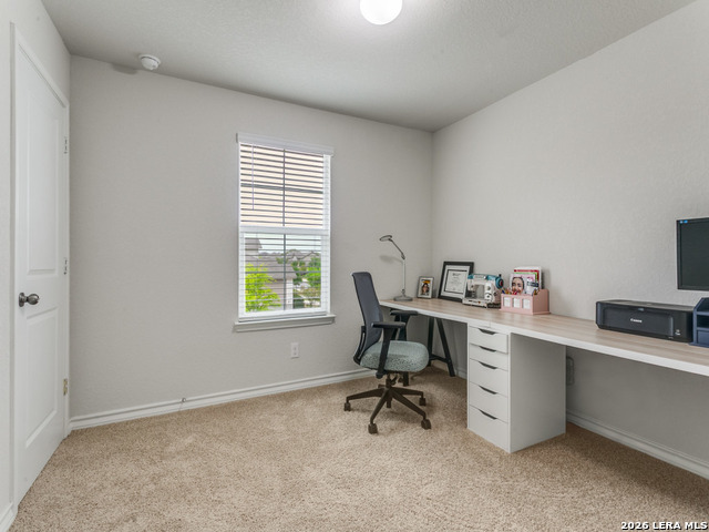 Image 17 of 25 For 914 Sage Thrasher