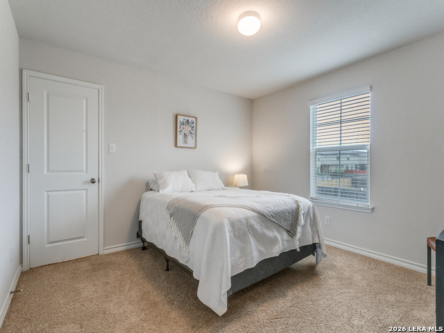 Image 18 of 25 For 914 Sage Thrasher