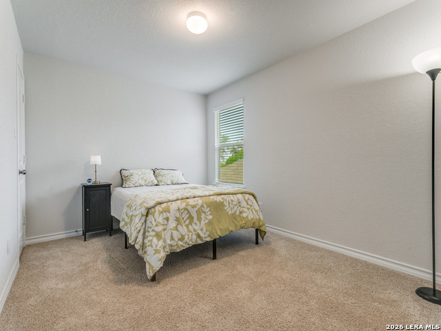 Image 20 of 25 For 914 Sage Thrasher