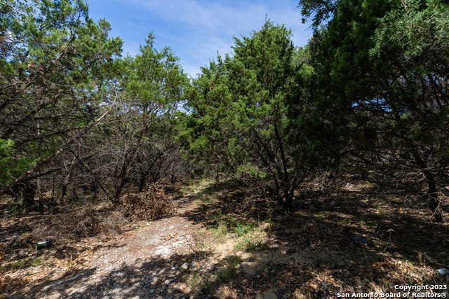 Image 17 of 21 For 3 Brayton Place