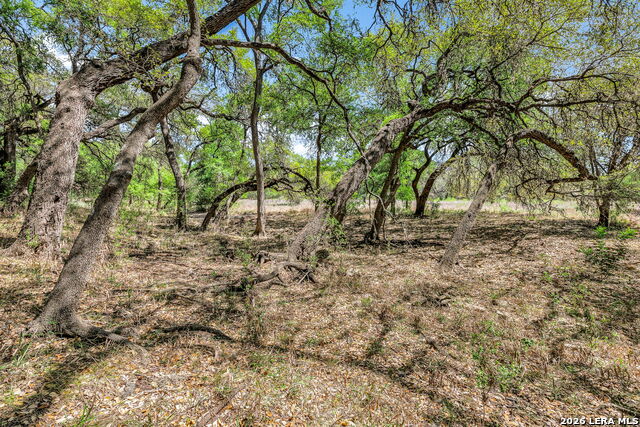 Image 47 of 47 For 13010 George