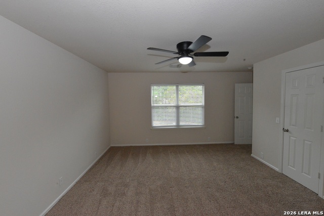 Image 16 of 22 For 15746 Cotton Tail