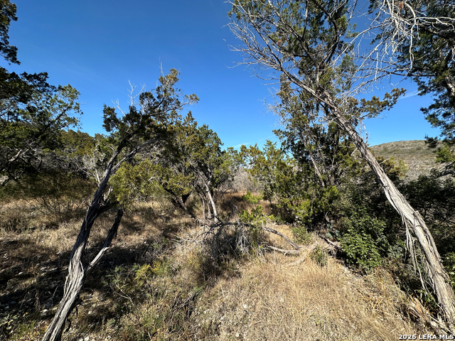 Image 3 of 5 For 17130 Highway 127