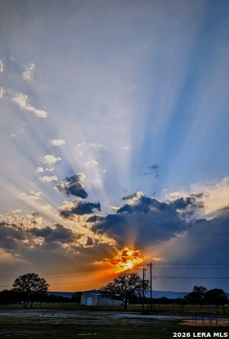 Image 93 of 98 For 385 Silver Wings