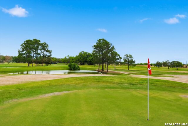 Image 2 of 36 For 101 Lynx  