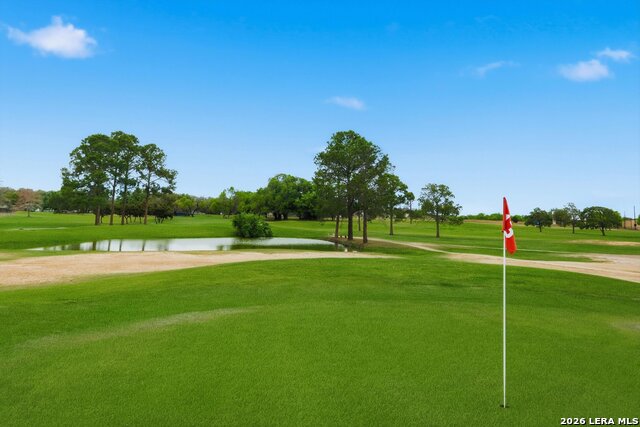 Image 30 of 36 For 101 Lynx  