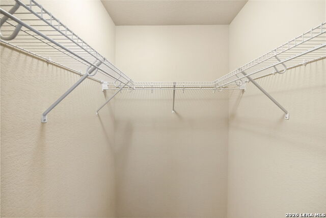 Image 20 of 34 For 25839 Big Bluestem