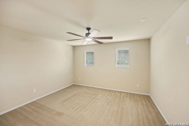 Image 23 of 34 For 25839 Big Bluestem