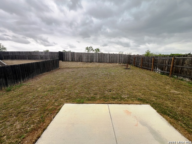 Image 34 of 36 For 11306 Amberina