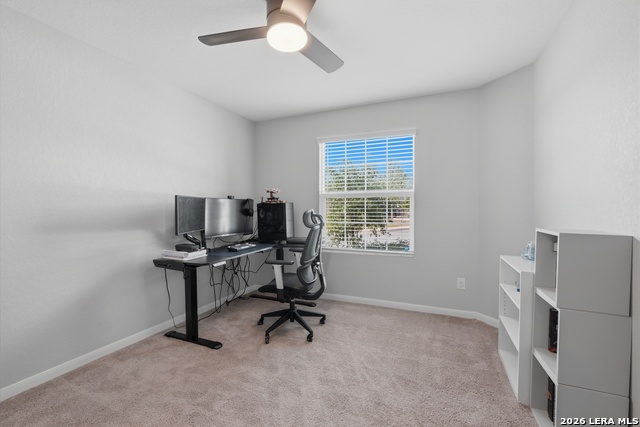 Image 19 of 26 For 31589 Untrodden