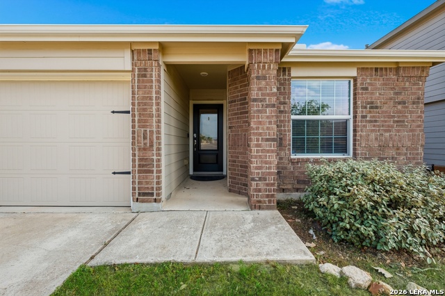 Image 4 of 26 For 31589 Untrodden