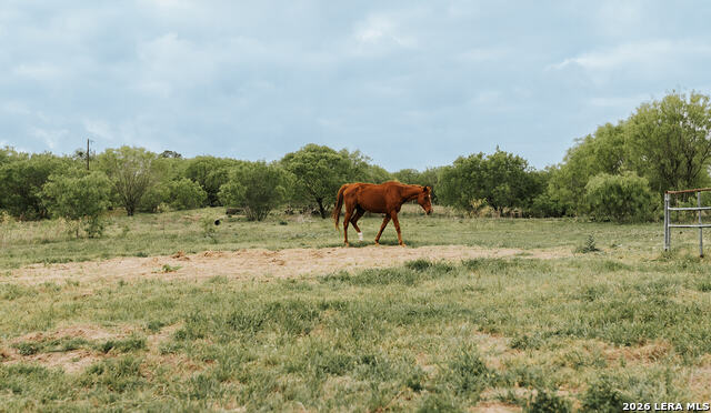 Details for 1065 Fm 477  , Seguin, TX 78155