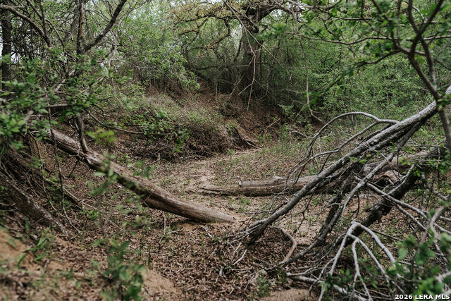 Image 12 of 43 For 1065 Fm 477  