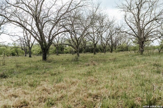 Image 9 of 43 For 1065 Fm 477  