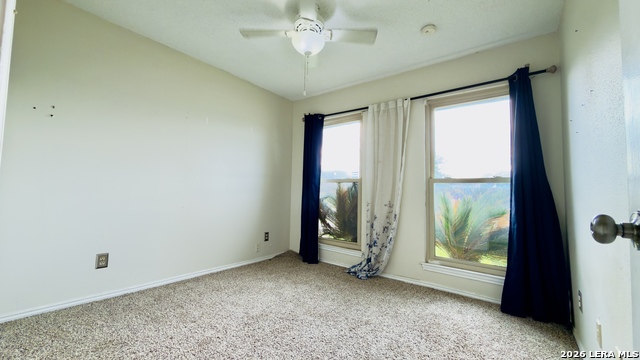 Image 9 of 11 For 5659 Wood Oak