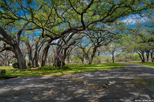 Image 14 of 44 For 230 Shamrock