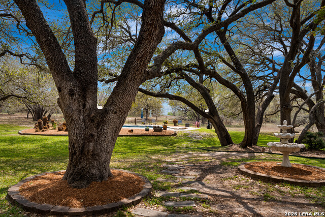 Image 15 of 44 For 230 Shamrock