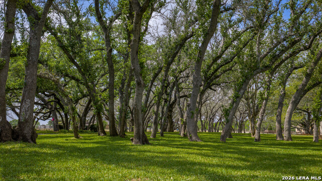 Image 23 of 44 For 230 Shamrock