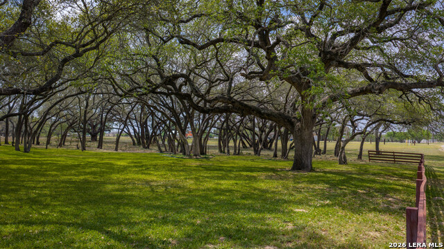 Image 29 of 44 For 230 Shamrock