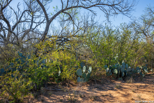 Image 21 of 32 For 1048 County Road 640