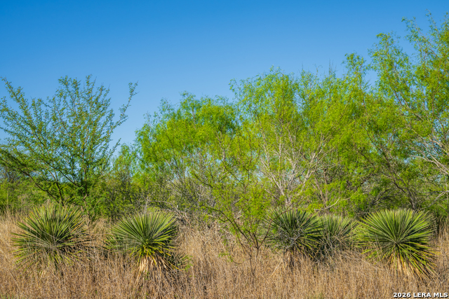 Image 24 of 32 For 1048 County Road 640