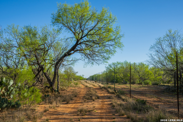 Image 25 of 32 For 1048 County Road 640