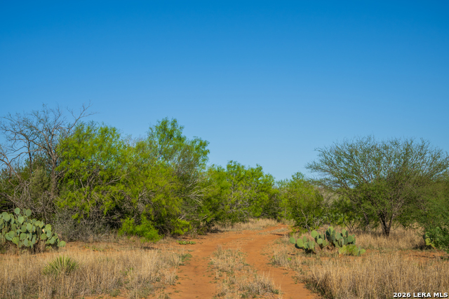 Image 3 of 32 For 1048 County Road 640