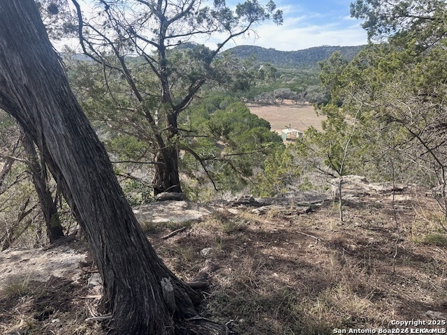 Image 11 of 20 For 000 E Bear Springs