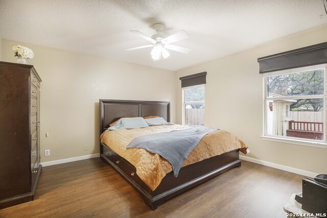 Image 13 of 26 For 2527 Wild Turkey