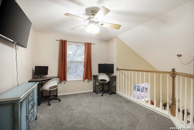 Image 17 of 26 For 2527 Wild Turkey