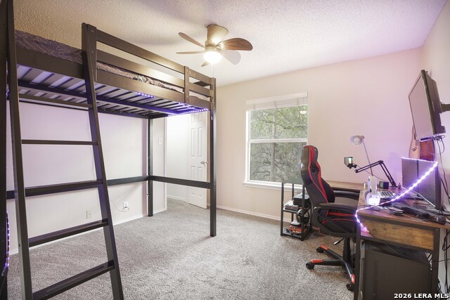 Image 18 of 26 For 2527 Wild Turkey