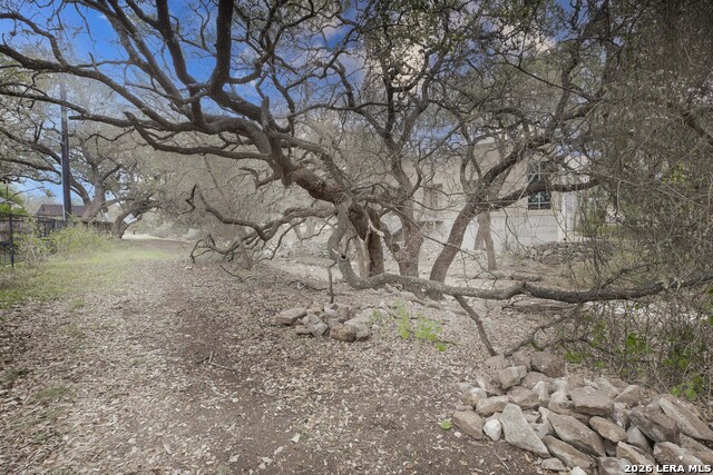 Image 24 of 26 For 2527 Wild Turkey