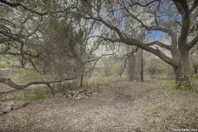 Image 25 of 26 For 2527 Wild Turkey