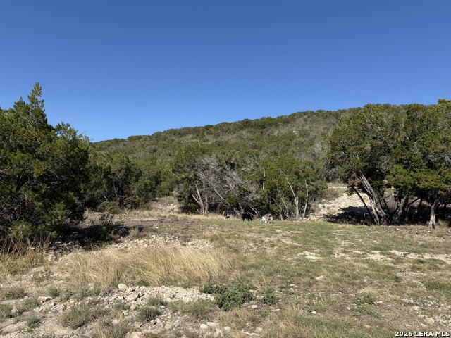 Image 30 of 42 For 785 Private Road 3350