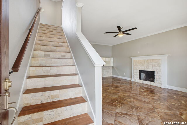 Image 19 of 43 For 21810 Goldcrest