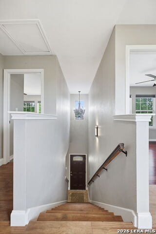 Image 26 of 43 For 21810 Goldcrest