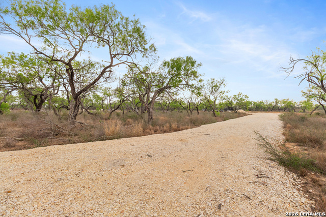 Image 11 of 27 For 2161 County Road 124