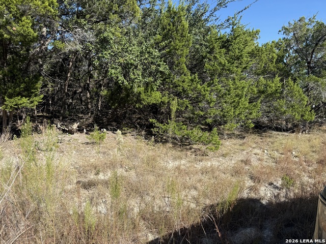 Details for Lot 37 Golf Course Dr. E, Spring Branch, TX 78070